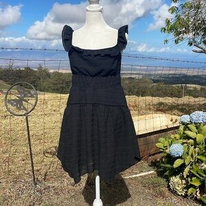 WILD FABLE Black Ruffle Mini Skater Dress
NWT